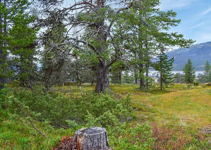 Semesterbostad In With Kitchen *