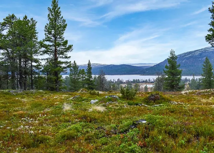 In With Kitchen * Kvam (Oppland)